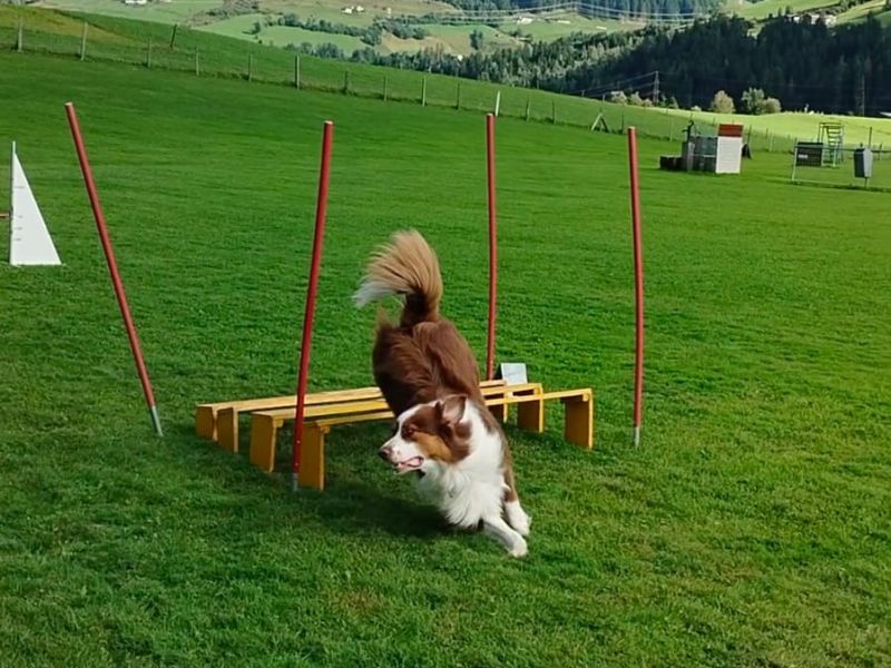 0847e84f 1309 46d8 bad7e07ee0d466a