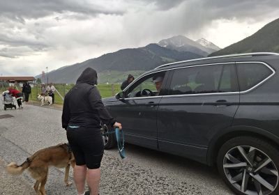 Alltagstauglichkeitstraining 