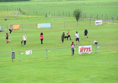 Einschreibung Herbstkurs 2025
