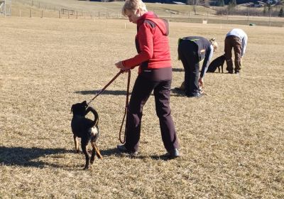 Frühjahr Kursbeginn