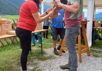 Frühjahrsprüfungen