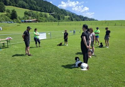 Frühjahrspüfungen Teil 1