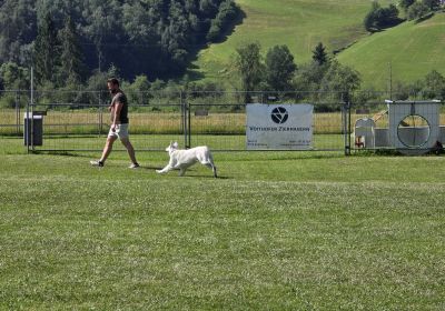 Frühjahrspüfungen Teil 2