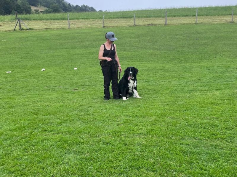 whatsapp bild 2024 06 22 um 17.14.51 24e6aca6mmmmm