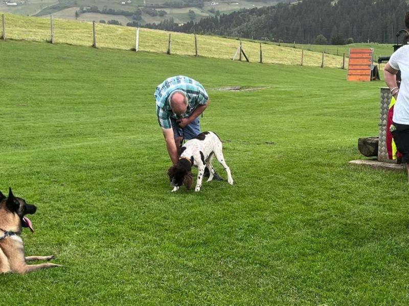 whatsapp bild 2024 06 22 um 17.14.52 3a7d5b9b