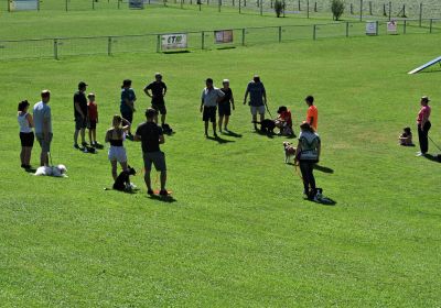 Herbst Kursbeginn Teil 1