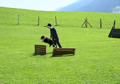 Herbst Kursbeginn Teil 2