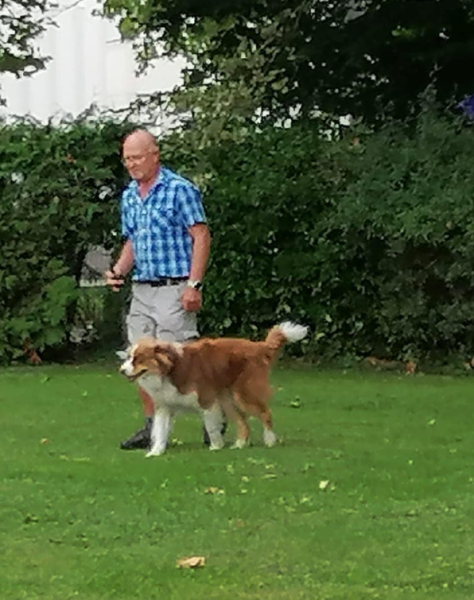 screenshot 2023 08 12 141351