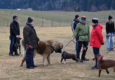 Kursbeginn Teil 2
