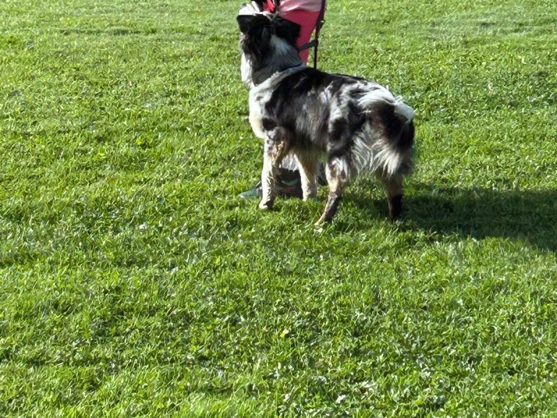 0b8ecf3d 7a0f 459e 8204cdad7fb5a0