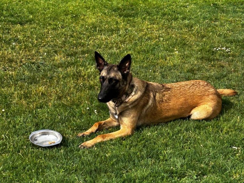 494915078 681791064469201 n