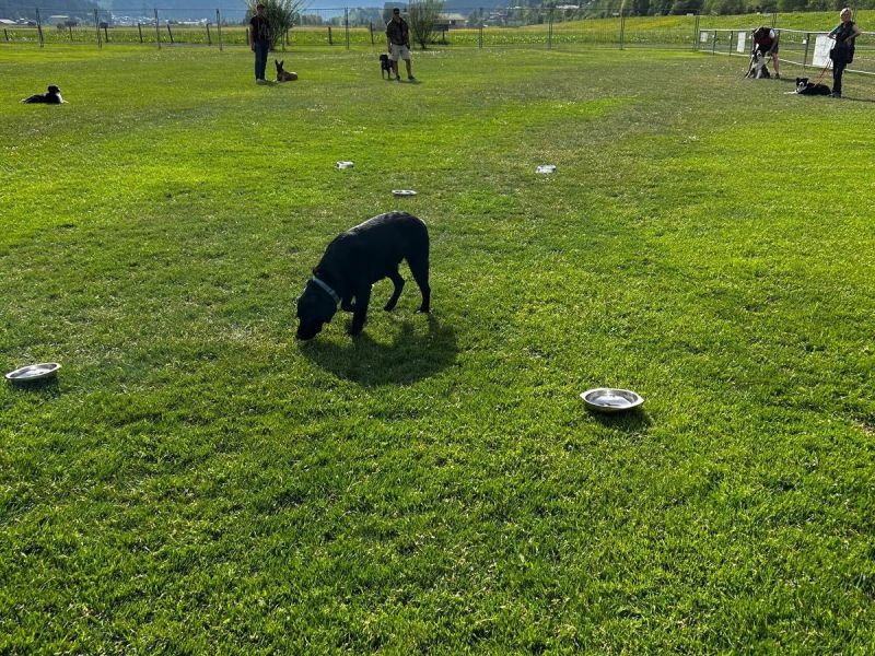 494920244 681790997802541 n